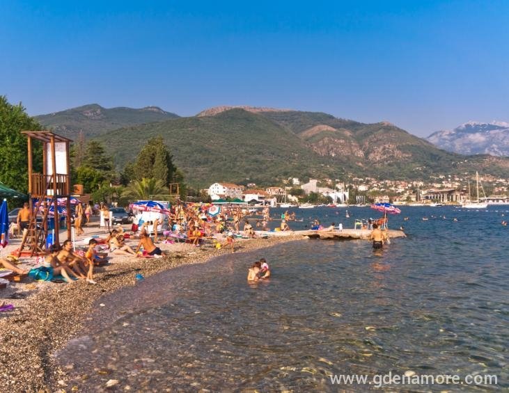 Ponta Seljanovo